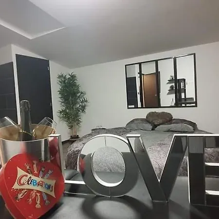 מלון אהבה Love De La Presqu'ile Saint-Vincent-de-Paul (Gironde)